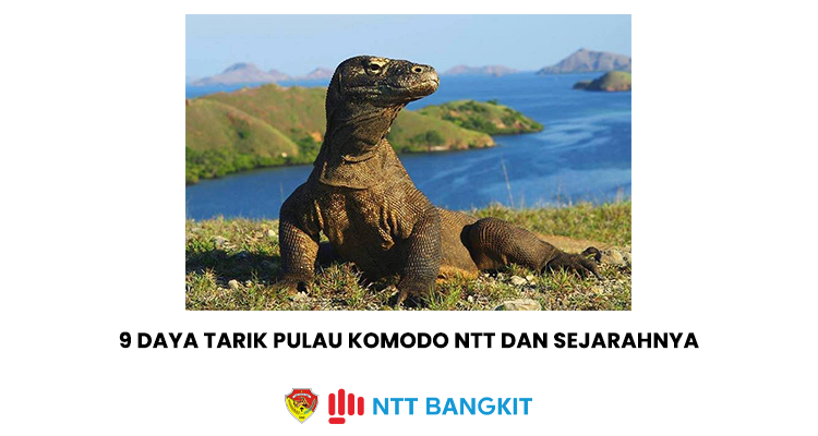 9 Daya Tarik Pulau Komodo NTT dan Sejarahnya