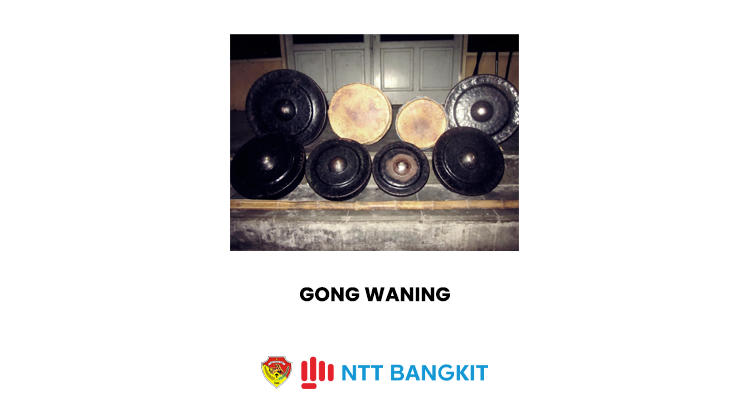 Gong Waning